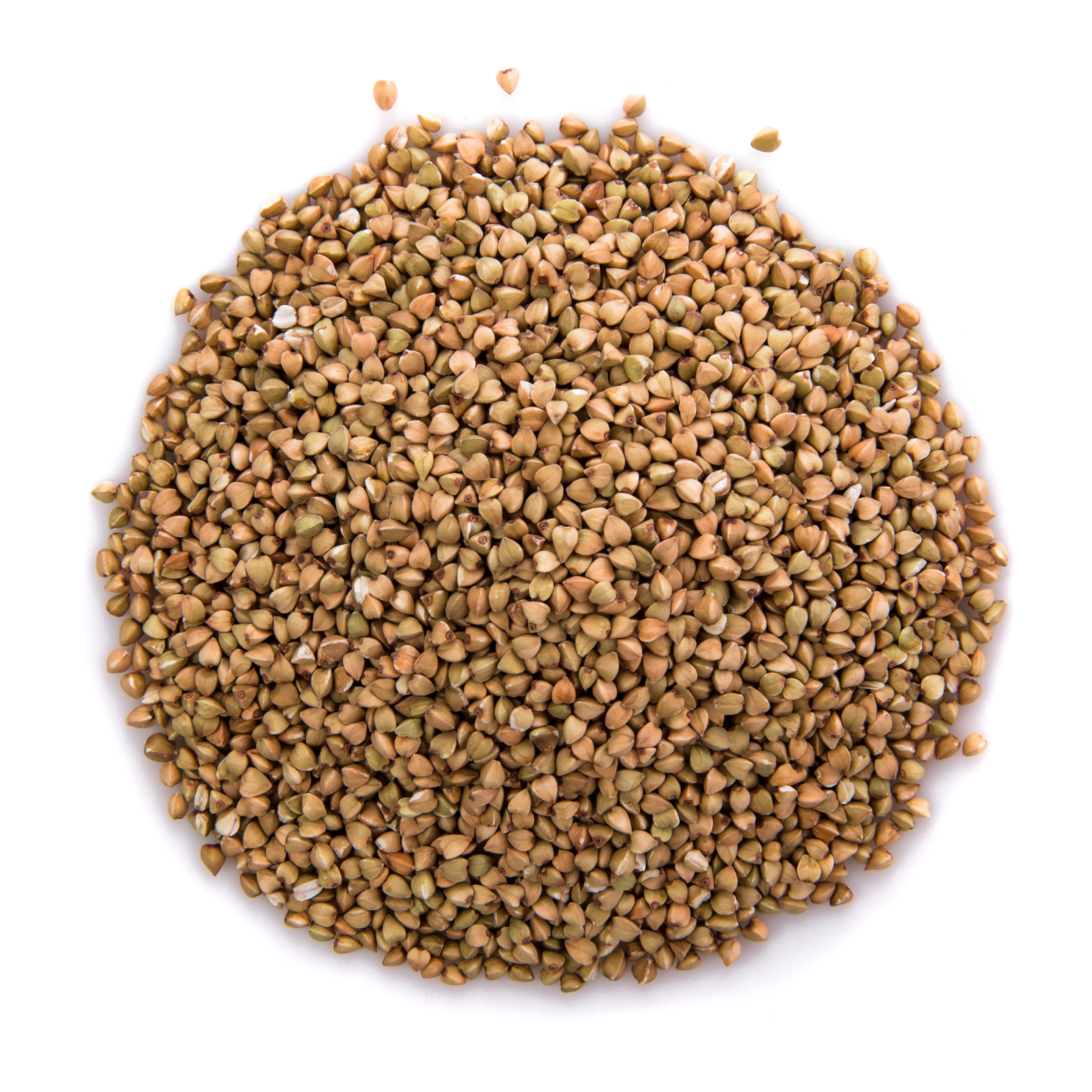 Buckwheat